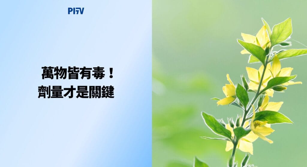 萬物皆有毒！劑量才是關鍵