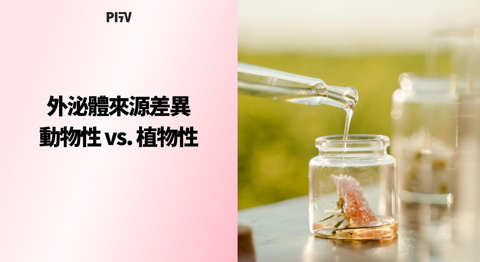 外泌體來源差異：動物性外泌體 vs. 植物性外泌體