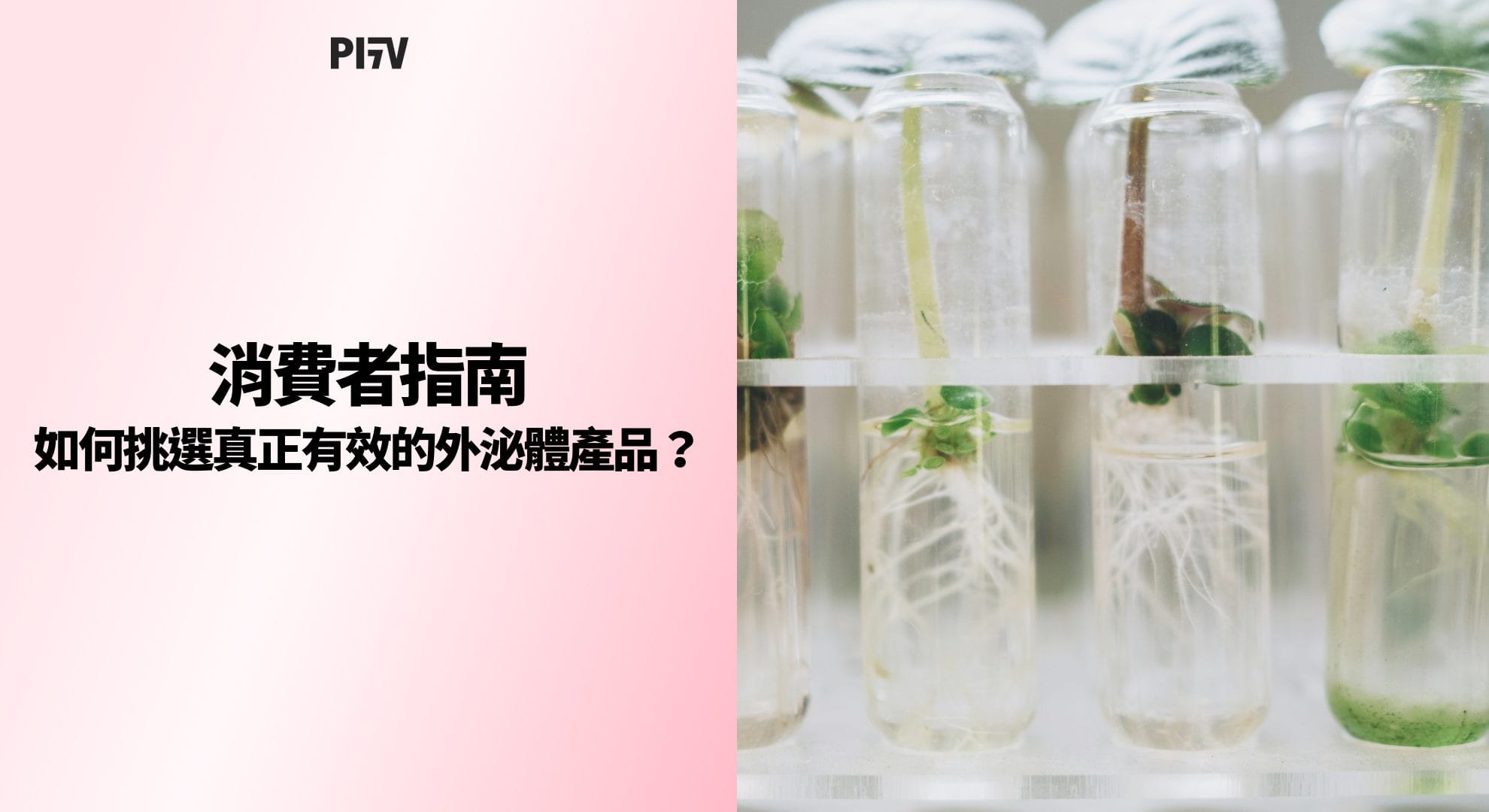 消費者指南：如何挑選真正有效的外泌體產品？